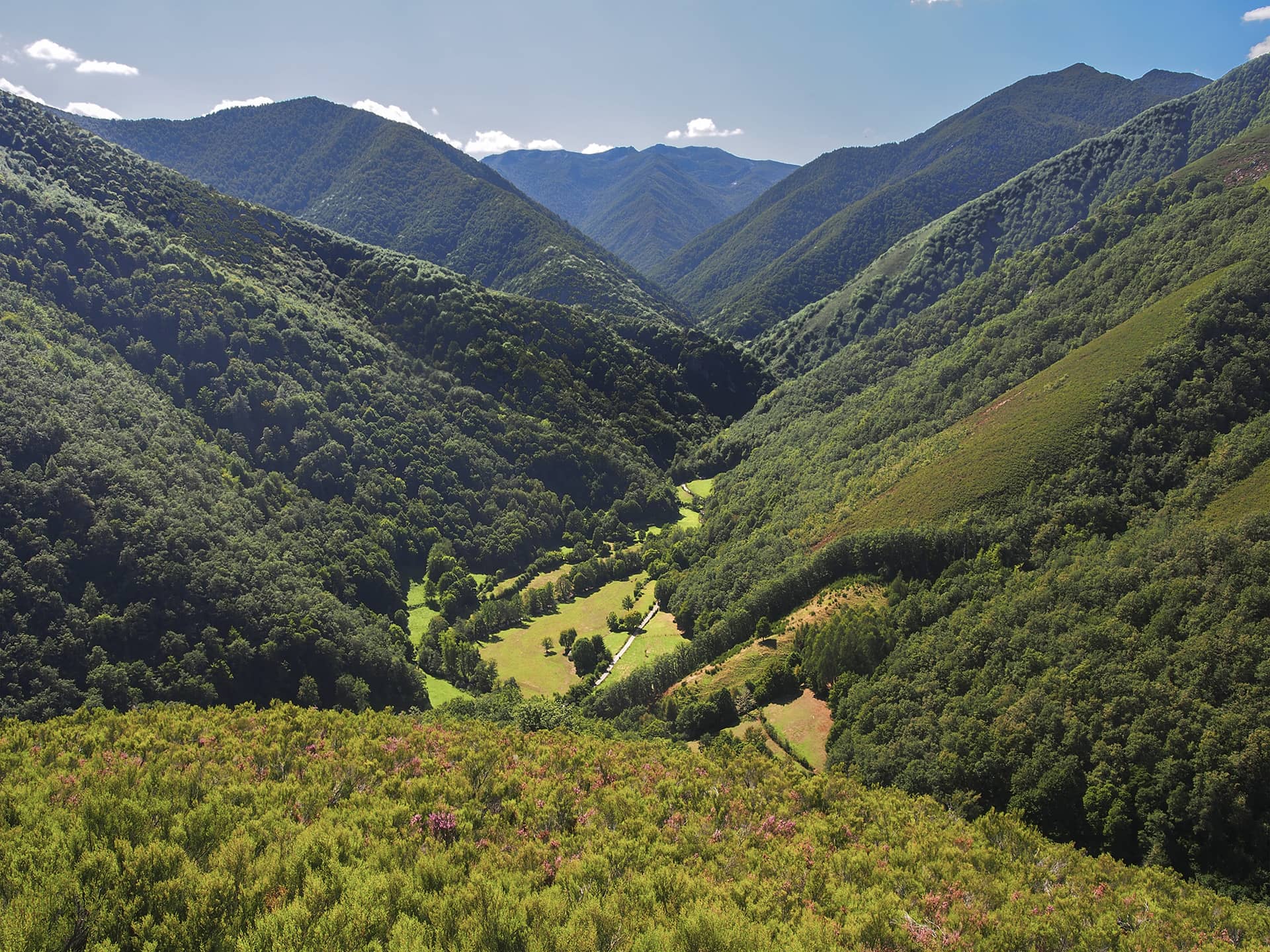 Turismo rural en Asturias: Cangas del Narcea, Degaña e Ibias ...